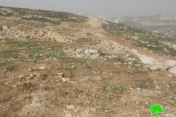 Ravaging 30 agricultural dunums from the Bethlehem village of Wad Rahhal
