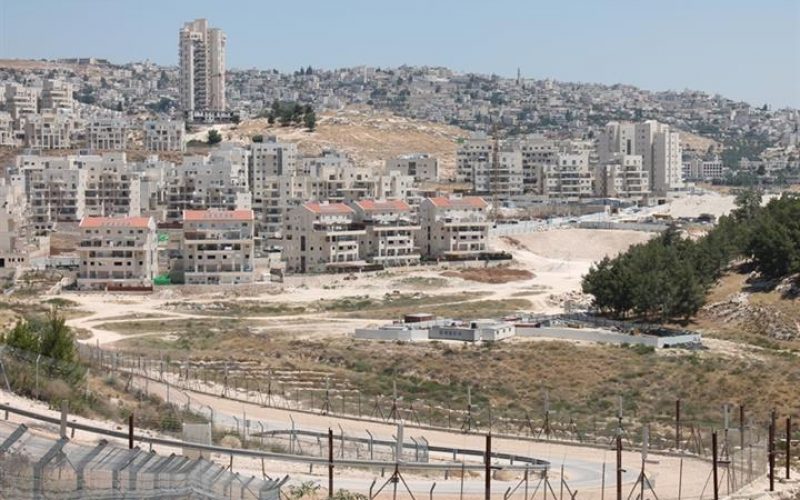 “During the Past Four Years”, <br> 
Accumulated 184 million NIS, to Subsidize the Settlement Project on the oPt