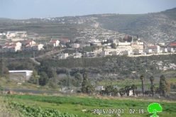 Killing 8 aging trees in Kfar Qadum through injecting them with toxic chemicals