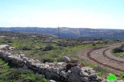 إخطارات بمصادرة أراضي زراعية في بلدة الشيوخ / محافظة الخليل