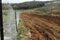 An Nabi Samuel land reclamation project attacked by Israeli settlers in northwest Jerusalem city.