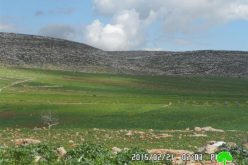 The Israeli occupation bans rehabilitation works on cisterns in Nablus