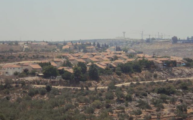 اسرائيل تدفع بمخططات استيطانية جديدة في كل من مستوطنتي نيفيه يعقوب وبرقان الصناعية في الضفة الغربية المحتلة