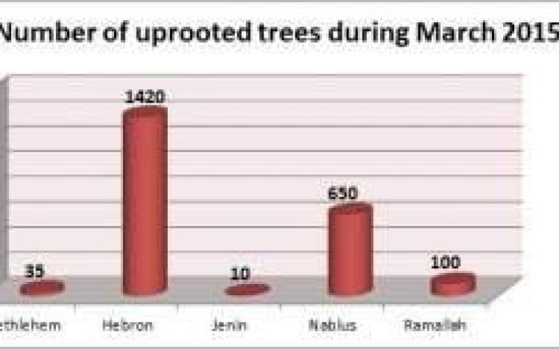 Israeli Violations in the Occupied Palestinian Territory – March 2015