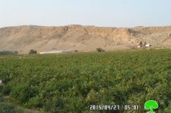 الاحتلال الإسرائيلي يهدم أربعة  مساكن في قرية الجفتلك / محافظة أريحا