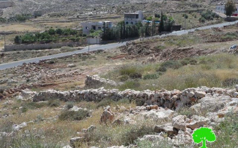 Ravaging agricultural lands and sabotaging trees in the Hebron area of Suba