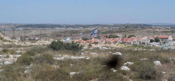Avni Hefetz colonists take over lands from the Tulkarm village of Izbet Shofa