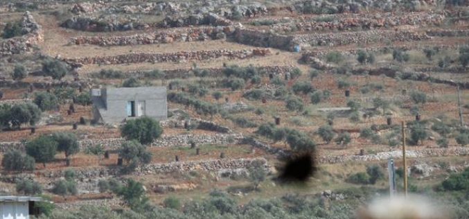 The Israeli occupation notifies structures with demolition in the Nablus village of Qusra