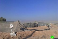 The Israeli occupation delivers demolition notices on structures in the Jericho village of Fasayil