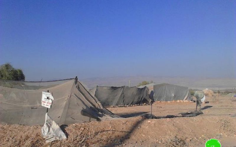 The Israeli occupation delivers demolition notices on structures in the Jericho village of Fasayil