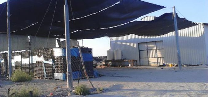 الاحتلال الاسرائيلي يخطر بهدم محطة  لتعبئة التمور في مدينة أريحا