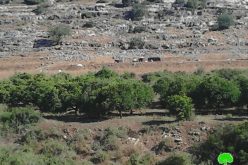 ما تسمى سلطة حماية الطبيعة الإسرائيلية تلزم مزارع في منطقة واد قانا بالإخلاء الفوري