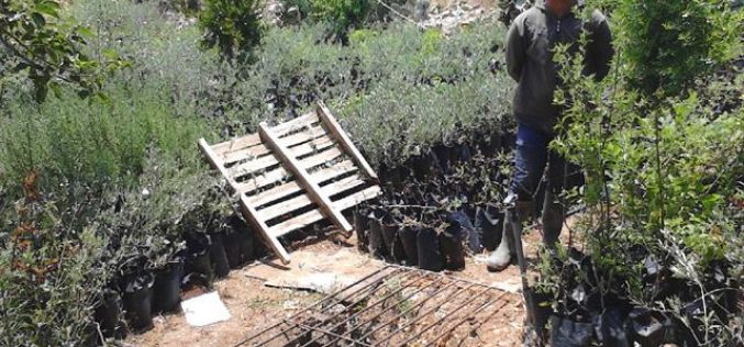 Demolition orders on water cisterns in the Jenin village of Ta’nak