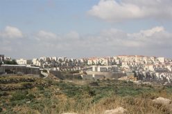 “Built on Private Palestinian Lands”

New facilities in the illegal settlements of Giv’at Ze’ev and Mod’in ‘Ilit