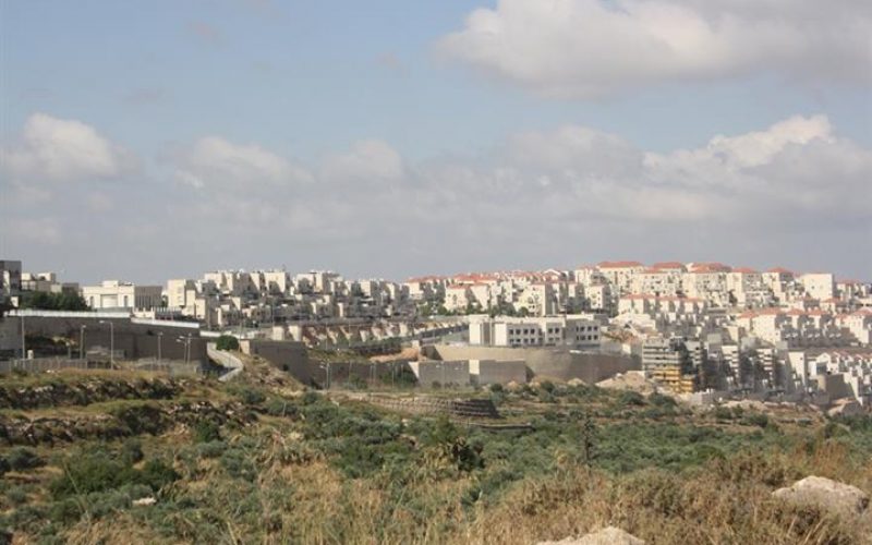 “Built on Private Palestinian Lands”
New facilities in the illegal settlements of Giv’at Ze’ev and Mod’in ‘Ilit