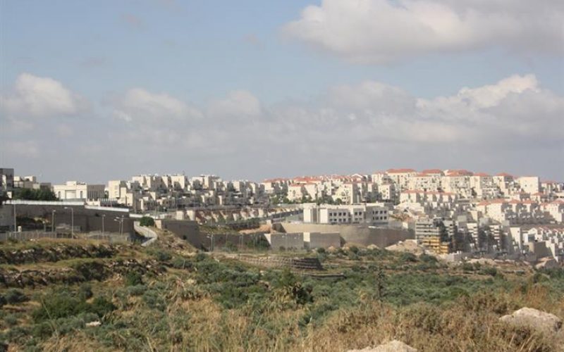 “Built on Private Palestinian Lands”

New facilities in the illegal settlements of Giv’at Ze’ev and Mod’in ‘Ilit