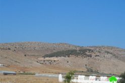 Eviction order on 111 dunums in the Tubas village of Ainon