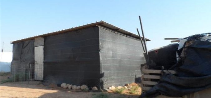 الاحتلال الاسرائيلي يسلم اخطارات بوقف البناء في قرية الجفتلك