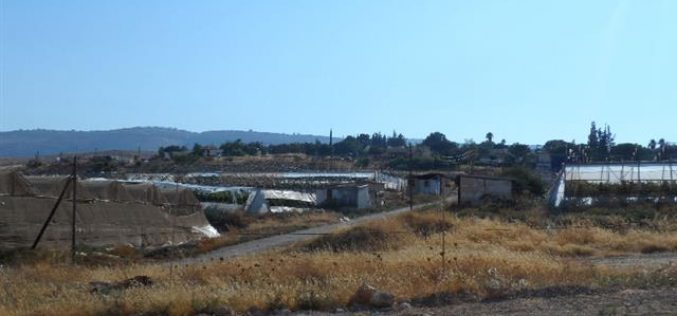 Extending the validity of a land grab on 15 dunums in the Nablus village of Aqraba