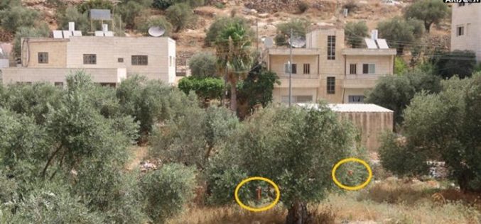 سلطات الاحتلال الاسرائيلي تضع علامات جديدة على أراضي مدينة بيت جالا تمهيدا لاستكمال بناء جدار العزل العنصري