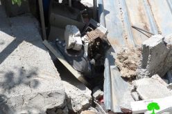 The Israeli occupation demolishes a residence in the Hebron village of Halhul