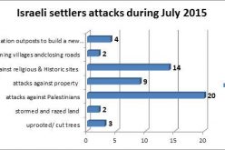 Israeli Violations in the Occupied Palestinian Territory – July 2015