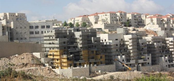 Everything is possible for the benefit of the Israeli settlers