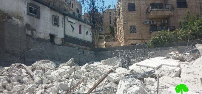 جرافات بلدية الاحتلال تهدم مبنى مكون من 3 طوابق في حي واد الجوز بالقدس المحتلة بحجة عدم الترخيص
