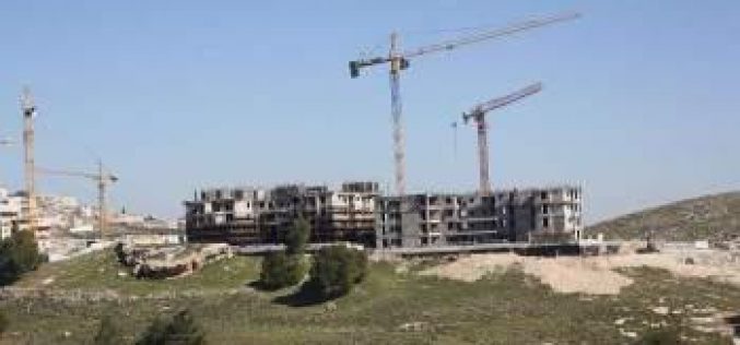“بالاضافة الى 1079 كرفانا” <br> اسرائيل تبني اكثر من مليون متر مربع في 162 مستوطنة ما بين العامين 2012 و 2014