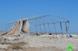 Demolition orders on two tents in Yatta hamlet of Al-Mafqara