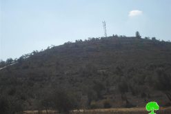 الاحتلال يصدر إخطاراً عسكرياً بتمديد الاستيلاء على أراضي في قريتي الساوية وياسوف جنوب نابلس