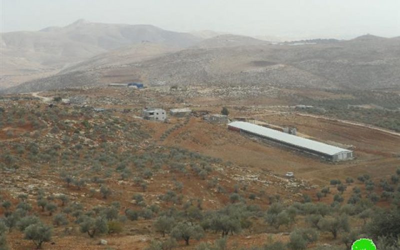 Itamar colonists ban residents of Al-Yanun village from picking olives