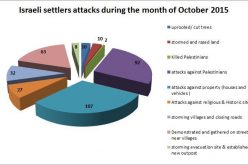 Israeli Violations in the Occupied Palestinian Territory –October 2015