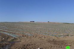 الاحتلال يلاحق الأراضي الزراعية ويصادر مضخات المياه في منطقة الدير شرق قرية عين البيضا