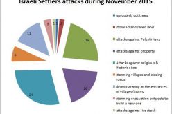 Israeli Violations in the Occupied Palestinian Territory –November 2015