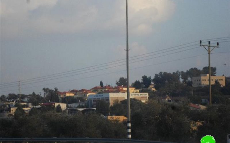 Israel transfer 30 dunums from Deir Istiya and Jeinsafout villages into “State Lands”