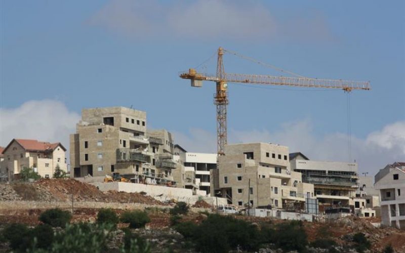 “Declared as State Land”
The Israeli Authorities expropriated 30 Dunums in Deir Istya & Jinsafut