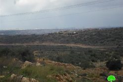 An Israeli order to confiscate 93 dunums from Azzun village to open a bypass road