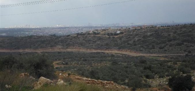 قرار اسرائيلي بمصادرة 93 دونماً من بلدة عزون بهدف إقامة طريق التفافي جديد