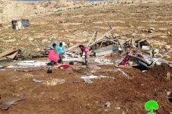 The Israeli Occupation Forces demolish 6 structures in East Jerusalem Bedouin community of Abu Nowar