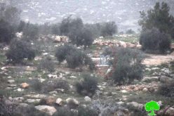 الاحتلال يمدد شبكة كهرباء في أراضي المواطنين بقرية دير العسل الفوقا
