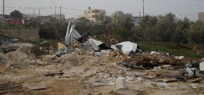 The occupation forces demolish a carpentry workshop and a sheep farm in Qalqiliya