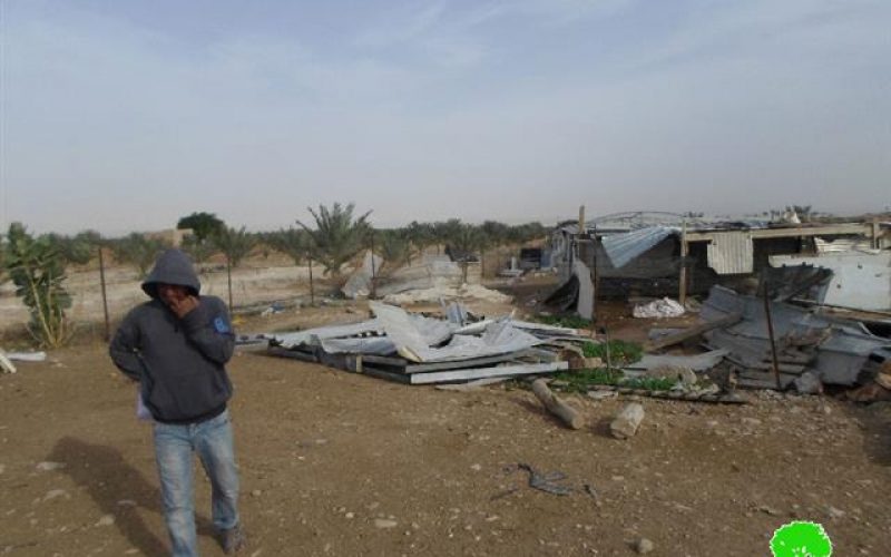 “Even funded and gifted by EU” <br>
The Israeli Occupation Forces demolish residential barracks east Jericho city