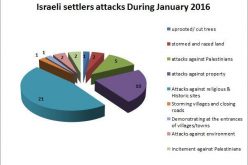 Israeli Violations in the occupied Palestinian territory – January 2016