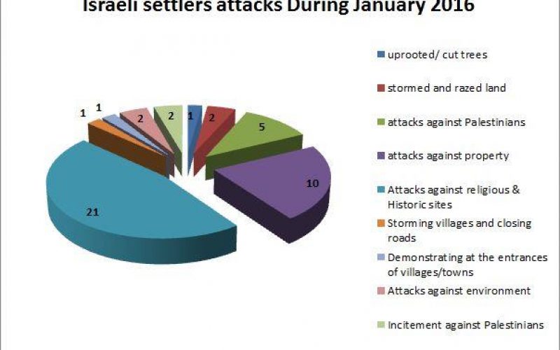 Israeli Violations in the occupied Palestinian territory – January 2016