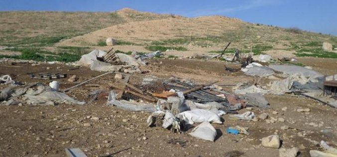 The Israeli Occupation Forces demolish tents in the Tubas area of Dhra Awwad