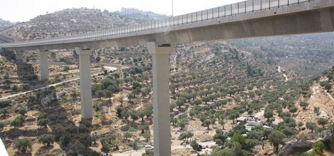 “Continuation of Israel’s policy of land expropriation” <br>
The Israeli Court grants “Israel’s Defense Ministry” the green light to build the Segregation wall on lands of Cremisan