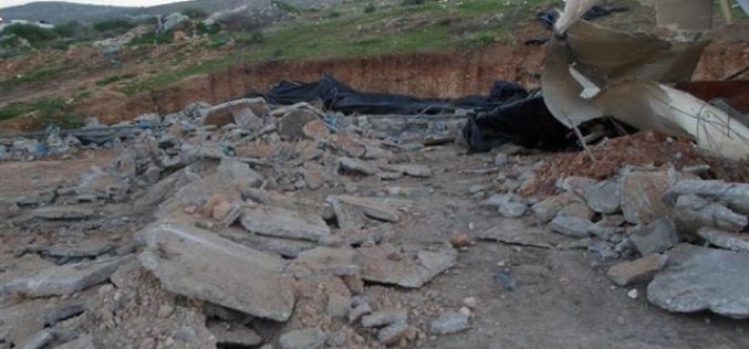 The Israeli Occupation Forces demolish cows farm and vegetables storage unit in Tubas