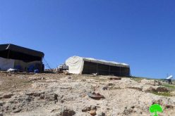 إخطار بوقف العمل في خيمة سكنية بخربة الحلاوة شرق يطا