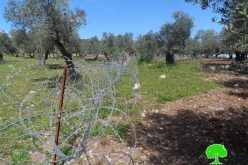 Israeli Occupation Forces set up a fence alongside agricultural lands of Yabad town
